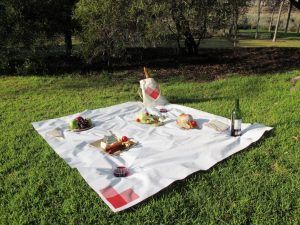 Un encantador picnic sobre el exuberante césped de Barcelona incluye el "Picnic en Barcelona - Menú Mar Salada", completo con platos de comida gourmet, una baguette crujiente y buen vino, enmarcado por el sereno telón de fondo de los árboles susurrantes. - ForTwo - Planes para parejas