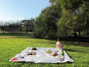 El Picnic de lujo en Barcelona - Menú Dos Tiempos se despliega sobre un manto blanco con exquisita comida, vino y una baguette sobre un exuberante césped. Disfrute de esta tranquila escapada en un pintoresco campo que evoca tardes de ensueño en Barcelona. - ForTwo - Planes para parejas