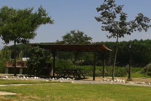 Zona de picnic con refugio de madera, banco, árboles, césped verde y un camino de piedra que conduce al encantador Dos noches en cueva romántica con hammam y masaje (Guadix). - ForTwo - Planes para parejas