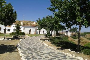 Un sendero conduce a una casa blanca con chimeneas, rodeada de árboles en un paisaje árido bajo el cielo azul. Cerca de allí, el "Dos noches en cueva romántica con hammam y masaje (Guadix)" ofrece a los viajeros una experiencia relajante y reconfortante en el hammam. - ForTwo - Planes para parejas