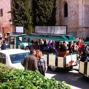 Cerca de un antiguo edificio de piedra, un pequeño tren turístico con vagones verdes está estacionado entre gente y árboles mientras los visitantes disfrutan de una Visita guiada a Bodega del Nero con tren turístico y degustación de 3 vinos. - ForTwo - Planes para parejas