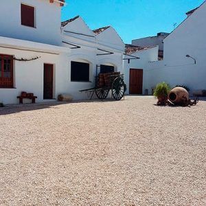 Junto a la famosa Bodega del Nero, conocida por su Visita guiada con tren turístico y degustación de 3 vinos, espera a los visitantes un patio de grava con edificios blancos, un carro de madera y una gran vasija de barro. - ForTwo - Planes para parejas