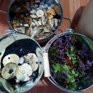 Tres cubos de metal, llenos de setas y frutos del bosque, descansan elegantemente sobre una superficie de madera, evocando los ingredientes frescos que se ofrecen en el Restaurante La Alacena de Francis en Málaga. - ForTwo - Planes para parejas