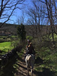 Dos personas experimentan el "Paseo a caballo por la sierra de Guadarrama con picnic para dos" a lo largo de un estrecho sendero boscoso, bajo un cielo azul despejado. - ForTwo - Planes para parejas