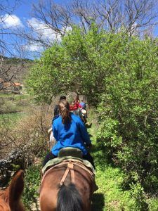 Gente disfrutando de un Paseo a caballo por la sierra de Guadarrama con picnic para dos en un sendero estrecho rodeado de exuberantes arbustos y árboles verdes en la pintoresca Sierra de Guadarrama. - ForTwo - Planes para parejas