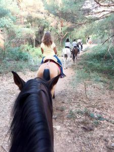 Experimente el "Paseo a caballo por la sierra de Guadarrama con picnic para dos" a través de exuberantes senderos forestales, rodeados de imponentes árboles y follaje vibrante, y mejore su aventura con un picnic perfecto en medio de la impresionante belleza de la Sierra de Guadarrama. - ForTwo - Planes para parejas