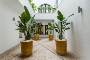 El Hotel Room Mate Valeria Málaga cuenta con un patio interior adornado con grandes plantas en macetas, paredes blancas y suelos de baldosas de piedra, todo ello bellamente iluminado por un tragaluz en la parte superior. - ForTwo - Planes para parejas