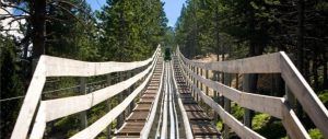Una montaña rusa de madera en Naturlandia asciende a través de un frondoso bosque en Andorra, con árboles verdes y un cielo azul arriba, como parte del paquete "Oferta de entrada a Caldea + entrada a Naturlandia". - ForTwo - Planes para parejas