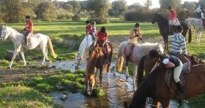 Un grupo emprende la Ruta a caballo por la dehesa extremeña (Cáceres), cruzando un arroyo entre campos de hierba, enmarcados por árboles serenos que realzan la belleza natural de la región. - ForTwo - Planes para parejas