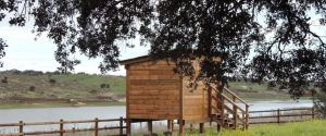 El "Avistamiento de aves (Cáceres)" ofrece un refugio sereno en una cabaña de madera sobre pilotes junto a un tranquilo lago, rodeado de exuberante vegetación y ramas de árboles, perfecto para la observación de aves. - ForTwo - Planes para parejas
