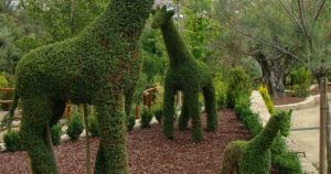 Explora las exuberantes jirafas verdes en El Bosque Encantado, cerca de Madrid. Disfruta de una experiencia mágica con Entradas con descuento para El Bosque Encantado (Madrid). - ForTwo - Planes para parejas