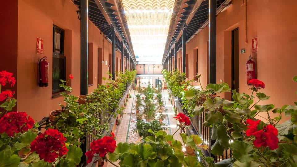 Un pasillo bañado por la luz del sol, adornado con flores rojas y plantas verdes a lo largo de una rústica pared naranja, captura la esencia del encanto de una "Escapada con desayuno y crucero en barco por el Guadalquivir". - ForTwo - Planes para parejas