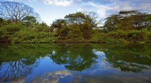 Un río tranquilo en Costa Rica refleja árboles y un cielo azul nublado, bordeado de exuberante vegetación, ideal para un viaje por Costa Rica en pareja. - ForTwo - Planes para parejas