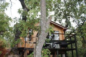 Ubicada entre grandes árboles verdes, la encantadora Cabaña de madera Musgo en Dormir en los Árboles en Cáceres ofrece un refugio encantador con balcón, perfecto para aquellos que sueñan con una experiencia tranquila en una casa en el árbol. - ForTwo - Planes para parejas