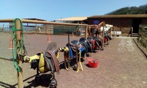 Una hilera de sillas de montar en una valla espera a un Paseo a caballo de 90 minutos (Tenerife), con dos caballos y un establo disfrutando del soleado telón de fondo. - ForTwo - Planes para parejas