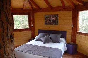 Experimente la magia en Cabanes Dosrius, cerca de Barcelona, en una acogedora cabaña de madera. La "Habitación mágica en los árboles" cuenta con una cama con detalles en morado, dos ventanas que invitan a la naturaleza y un encantador tronco de árbol como centro de mesa para una escapada perfecta. - ForTwo - Planes para parejas