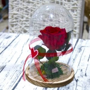 rosa bella y la bestia dentro de una cúpula de cristal 