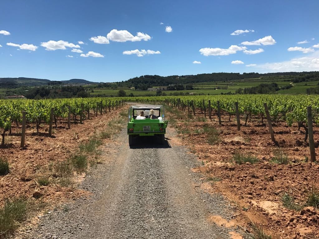 Un vehículo verde circula por un camino de tierra bajo un cielo azul despejado, zigzagueando entre enredaderas que hablan del "Día romántico de vino y gastronomía entre viñedos (Barcelona). - ForTwo - Planes para parejas