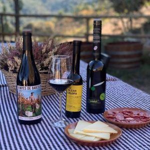 Botellas de vino, una copa de vino tinto y platos de queso y chorizo se presentan elegantemente sobre un mantel a cuadros, con la belleza paisajística de Falset como telón de fondo. Descubra el enoturismo a través de la "Escapada de enoturismo de la mano del hotel Lotus Priorat en Falset (Tarragona)". - ForTwo - Planes para parejas