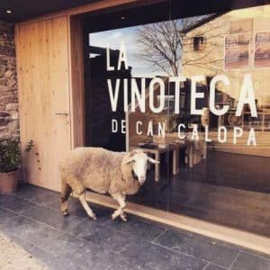 Una oveja se encuentra a la entrada de una tienda de vinos con un cartel en la puerta que dice "LA VINOTECA DE CAN CALOPA", en medio del encanto de la aventura enoturística que lidera el Hotel Lotus Priorat en Falset. - ForTwo - Planes para parejas