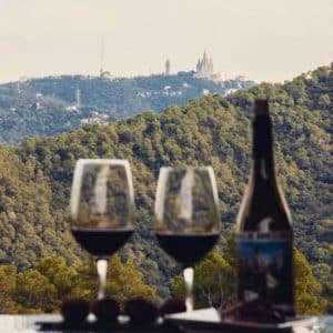Sumérgete en la esencia del enoturismo con dos copas de vino tinto ante un paisaje montañoso en el Hotel Lotus Priorat, ubicado en el pintoresco pueblo de Falset. Producto: Escapada de enoturismo de la mano del hotel Lotus Priorat en Falset (Tarragona). - ForTwo - Planes para parejas