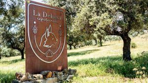 Un cartel con el logo de un animal que dice "La Dehesa Experience" se encuentra entre árboles y un paisaje verde, conduciendo a la lujosa Cabaña Junior Suite con piscina privada en La Dehesa Experiences, Córdoba, un paraíso donde la naturaleza se encuentra con la comodidad. - ForTwo - Planes para parejas