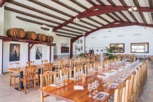 Experimente una cata de vinos memorable en la espaciosa bodega Miquel Jané en Barcelona, que cuenta con mesas de madera, sillas, copas de vino, cuadros y barriles de vino en estantes. - ForTwo - Planes para parejas