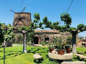 Un jardín pintoresco con plantas en macetas, árboles con formas redondeadas y un edificio de piedra que recuerda a la bodega Mas Llunes bajo un cielo azul despejado. Cerca, un molino de viento realza el pintoresco paisaje de Garriguella, creando un entorno idílico para un Almuerzo y una visita en plena naturaleza. - ForTwo - Planes para parejas