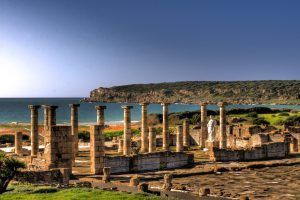 Explora la cautivadora belleza de Baelo Claudia, enclavada junto al mar cerca de Zahara de los Atunes. Esta joya escondida presume de antiguas ruinas romanas con majestuosas columnas y exuberante vegetación, con un telón de fondo de acantilados y cielos despejados. Descubre más en el tour "Visita por la Costa de Tarifa". - ForTwo - Planes para parejas