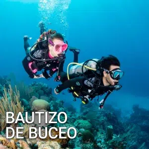 Dos buceadores se deslizan por las vibrantes aguas de Barcelona, descubriendo el fascinante mundo submarino. Experimenta esta belleza con Bautizo de buceo con Freeandivers. - ForTwo - Planes para parejas
