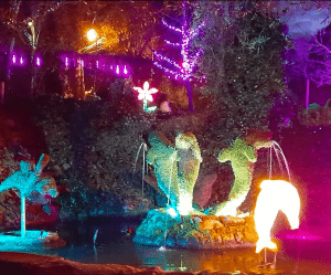 Explora la magia de El Bosque Encantado con Entradas al El Bosque Encantado, donde coloridos jardines exhiben fuentes iluminadas con delfines y sirenas en medio de exuberante vegetación y luces vibrantes. - ForTwo - Planes para parejas