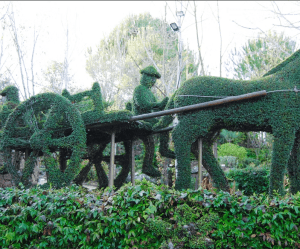Descubra la cautivadora topiaria de un carruaje tirado por caballos con conductor, elaborada meticulosamente con exuberante follaje en El Bosque Encantado. Disfrute de esta experiencia encantadora con Entradas al Bosque Encantado. - ForTwo - Planes para parejas
