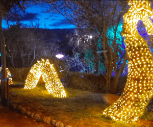 Explora El Bosque Encantado, donde los árboles brillan con luces navideñas amarillas contra el cielo azul oscuro del atardecer. Adquiere tus Entradas al Bosque Encantado para presenciar cómo la naturaleza se transforma en un mundo fascinante de luz y maravillas. - ForTwo - Planes para parejas
