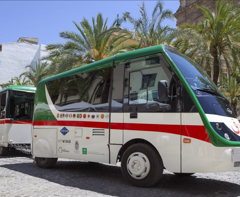 Un pintoresco tren turístico, decorado con banderas verdes y blancas, se encuentra estacionado en una encantadora calle adoquinada adornada con elegantes palmeras en Granada. Entradas disponibles para el tren turístico en Granada. - ForTwo - Planes para parejas