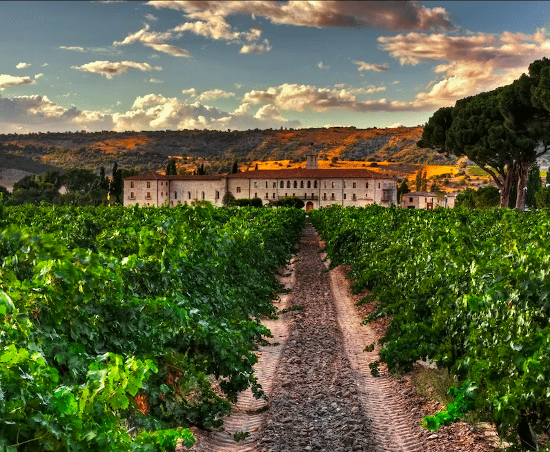 La "Excursión y Cata de Vinos de la Ribera del Duero desde Madrid" ofrece un entorno idílico con vides que conducen a un edificio de piedra bajo un cielo colorido, perfecto para crear experiencias memorables de cata de vinos. - ForTwo - Planes para parejas