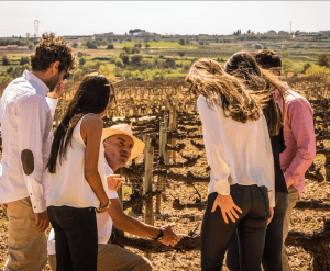 Un grupo se embarca en la "Excursión y Cata de Vinos de la Ribera del Duero desde Madrid", explorando un viñedo soleado con un guía con sombrero de paja. - ForTwo - Planes para parejas