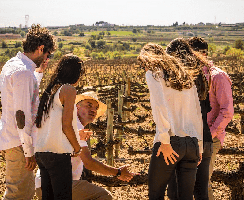 Un grupo se embarca en la "Excursión y Cata de Vinos de la Ribera del Duero desde Madrid", explorando un viñedo soleado con un guía con sombrero de paja. - ForTwo - Planes para parejas