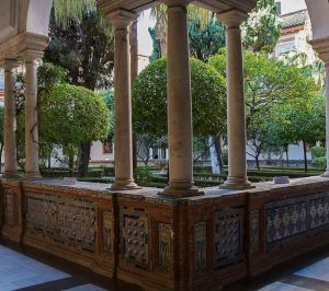 Descubra la rica historia en un patio con columnas de azulejos y vegetación, rodeado de arquitectura de piedra, con Entradas Museo de Bellas Artes de Sevilla: Visita guiada. - ForTwo - Planes para parejas