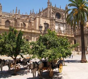 Explora el pasado con nuestro "Tour guiado al Alcázar de Sevilla (Entrada incluida)" mientras carruajes tirados por caballos se deslizan bajo los árboles cerca de un edificio histórico ornamentado y una palmera. - ForTwo - Planes para parejas
