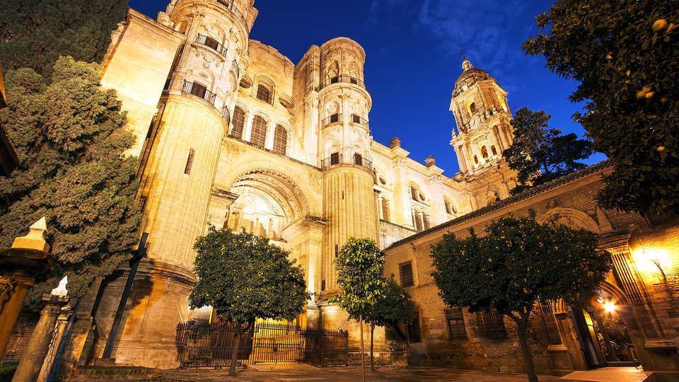 La histórica catedral, iluminada bajo el cielo nocturno con árboles que enmarcan su belleza, crea un escenario perfecto para una Escapada a Málaga en el Hotel del Pintor con entrada al museo Picasso. - ForTwo - Planes para parejas