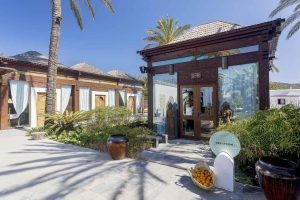 La oferta de spa, yoga y almuerzo en Atzaro (Ibiza) ofrece un entorno sereno con decoración de madera, plantas en macetas, cestas de frutas y palmeras bajo un cielo azul claro, perfecto para sesiones de yoga. - ForTwo - Planes para parejas