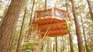 Una casa en el árbol de madera con terraza, ubicada entre altos árboles del bosque, ofrece habitaciones únicas similares a Habitaciones únicas en Cabañas en los árboles (Vizcaya). - ForTwo - Planes para parejas