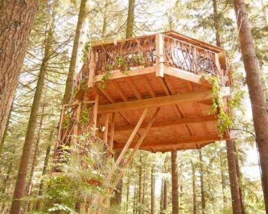 Una casa en el árbol de madera con terraza, ubicada entre altos árboles del bosque, ofrece habitaciones únicas similares a Habitaciones únicas en Cabañas en los árboles (Vizcaya). - ForTwo - Planes para parejas
