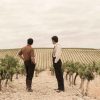 En un viñedo, bajo un cielo nublado, dos hombres imaginan los ricos sabores que su "Tour de vino en Bodegas Grant con cata incluida (Jerez)" traerá a la vida. - ForTwo - Planes para parejas