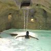 Una persona se relaja en una piscina cueva en el Cercado de la Alpujarra, con agua en cascada y una relajante iluminación ambiental, que recuerda a la experiencia del "Circuito Spa con masaje incluido para 2 personas en el Cercado de la Alpujarra". - ForTwo - Planes para parejas