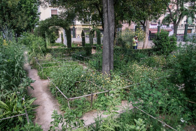 Jardin-botanico-planes-gratis-Granada