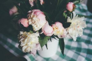 Las_mejores_floristerías_de_Santander|las mejores floristerías de Santander|las mejores floristerías de Santander|las mejores floristerías de Santander|las mejores floristerías de Santander|las mejores floristerías de Santander|las mejores floristerías de Santander|las mejores floristerías de Santander