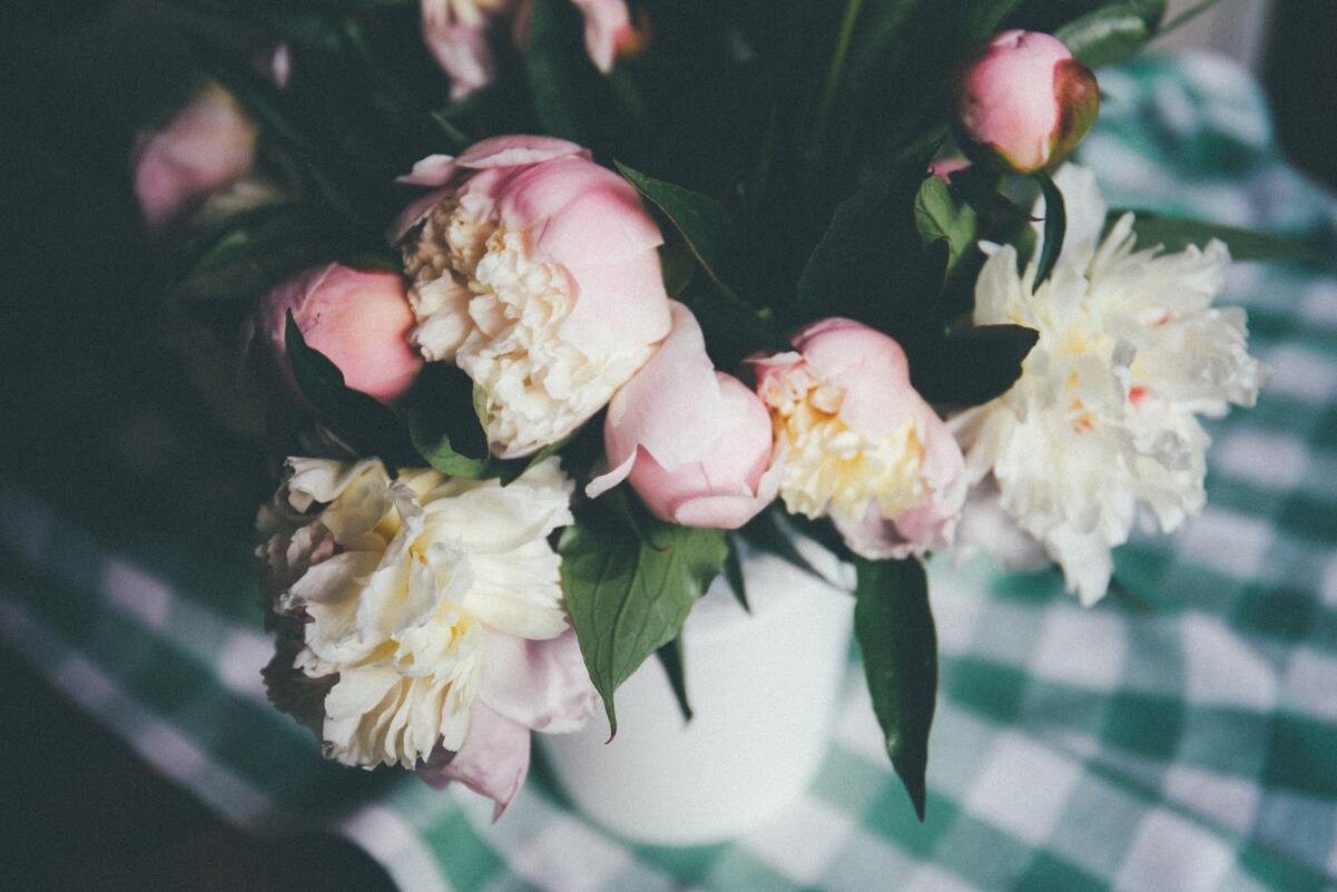 Las_mejores_floristerías_de_Santander|las mejores floristerías de Santander|las mejores floristerías de Santander|las mejores floristerías de Santander|las mejores floristerías de Santander|las mejores floristerías de Santander|las mejores floristerías de Santander|las mejores floristerías de Santander