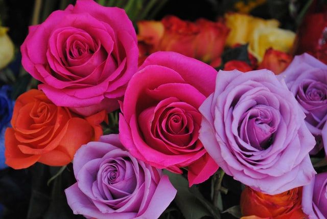 mejores floristerías Vitoria