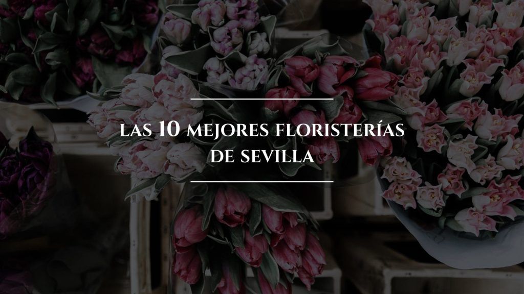 las mejores floristerías de Sevilla|las mejores floristerías de Sevilla|las mejores floristerías de Sevilla|las mejores floristerías de Sevilla|lasmejores floristerías de Sevilla|las mejores floristerías de Sevilla|las mejores floristerías de Sevilla|las mejores floristerías de Sevilla|las mejores floristerías de Sevilla|floristería-córdoba-Interflora|las mejores floristerías de Sevilla|mejores-floristerias-sevilla-colvin-co